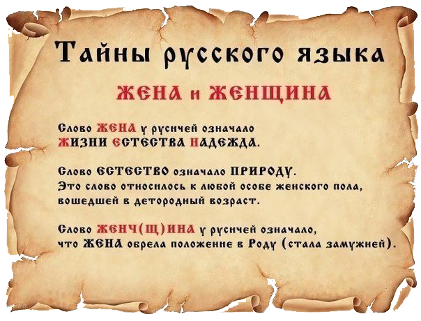 1WJ9666szCs (604x460, 432Kb)
